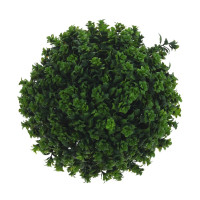 Цветочная композиция "Самшит", L19 W19 H27 см, 2в.