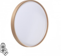 Настенно-потолочный светильник Gaby 7783/DL Sonex Настенно-потолочный светильник Gaby 7783/DL Sonex