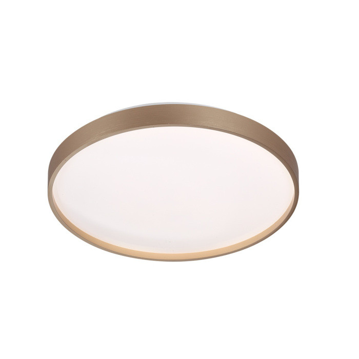 Настенно-потолочный светильник Gaby 7783/DL Sonex