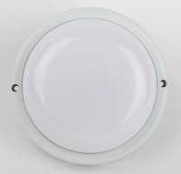 Настенно-потолочный светильник SPB-201-2-40K-012 ЭРА Настенно-потолочный светильник SPB-201-2-40K-012 ЭРА