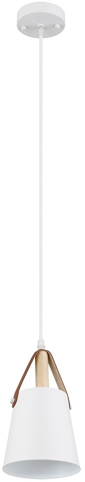 Подвесной светильник Thomas A7032SP-1WH Arte Lamp