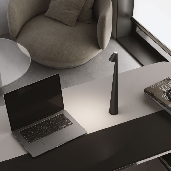 Интерьерная настольная лампа Elite TL70250 Elektrostandard