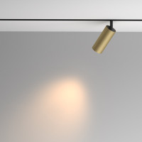 Трековый светильник Artisan TR097-2-12W3K-M-BMG Maytoni