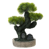 Цветочная композиция "Бонсай", L19 W12 H26 см