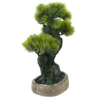 Цветочная композиция "Бонсай", L19 W12 H26 см