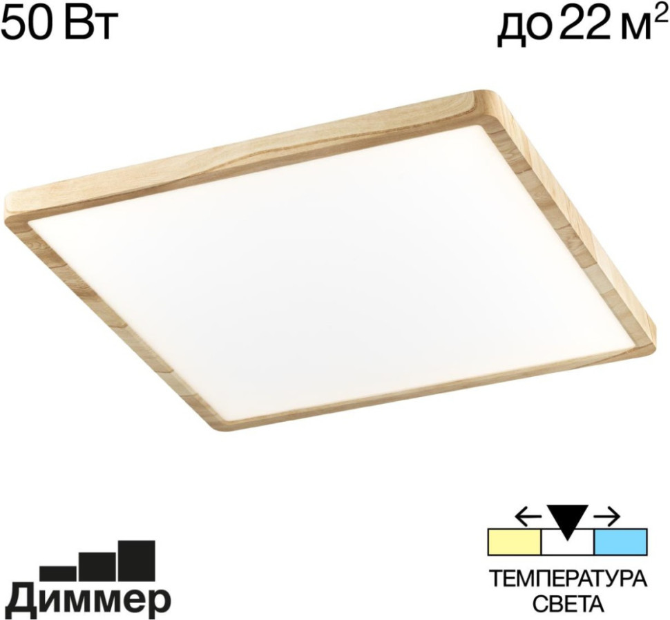 Настенно-потолочный светильник Бейсик CL738K502V Citilux