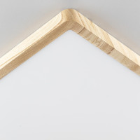 Настенно-потолочный светильник Бейсик CL738K502V Citilux