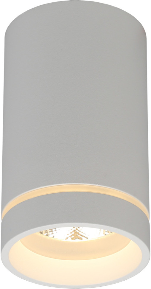 Точечный светильник Edda APL.0053.09.10 Aployt