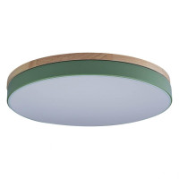 Потолочный светодиодный светильник Loft IT Axel 10001/36 green Потолочный светодиодный светильник Loft IT Axel 10001/36 green