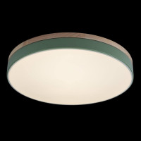 Потолочный светодиодный светильник Loft IT Axel 10001/36 green Потолочный светодиодный светильник Loft IT Axel 10001/36 green