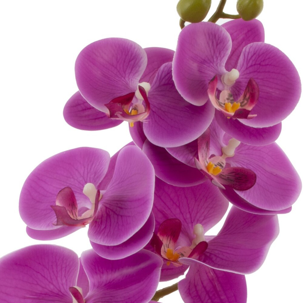 Цветочная композиция "Орхидея", L16,5 W14 H46,5 см