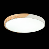 Потолочный светильник Festa SLE200952-01 Evoluce