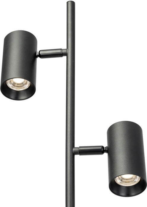 Торшер Twin CL809011N Citilux