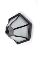 Потолочный светильник уличный  89425 Bl Oasis Light