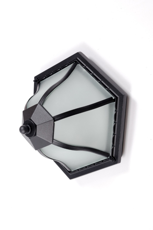 Потолочный светильник уличный  89425 Bl Oasis Light