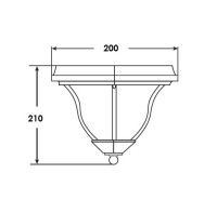 Потолочный светильник уличный  89425 Bl Oasis Light