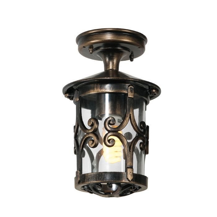 Потолочный светильник уличный  15855А Gb Oasis Light