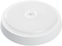 Настенно-потолочный светильник AL3022 41797 Feron