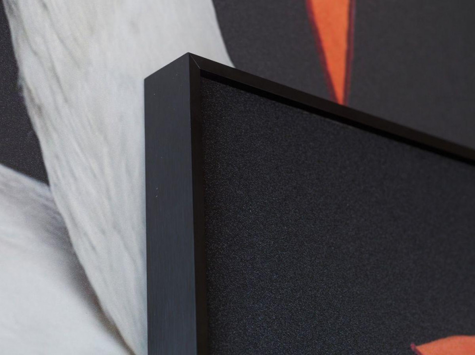 Картина Lumina Deco FP Hermes Swan 80-120