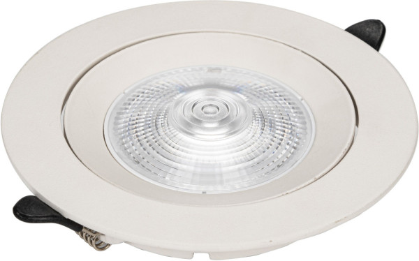 Точечный светильник Raiz ZRS.57795.10 Zortes