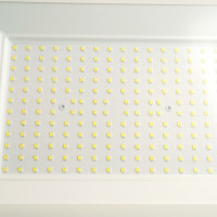 Прожектор уличный LL-1000 51016 Feron Прожектор уличный LL-1000 51016 Feron