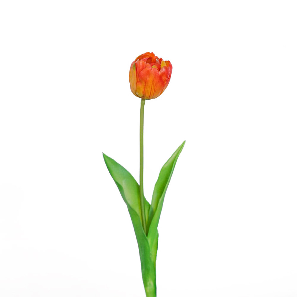 Тюльпан бокал 45см.,оранжевый