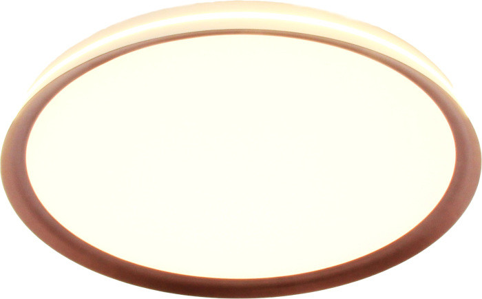 Потолочный светильник Titan MZ31502-640 Mizi'en