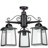 Потолочный светильник уличный FRANKFURT I 27370ACl 3 02 Bl Oasis Light