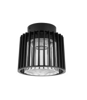 Потолочный светильник уличный UNITE 3975 Bl Oasis Light