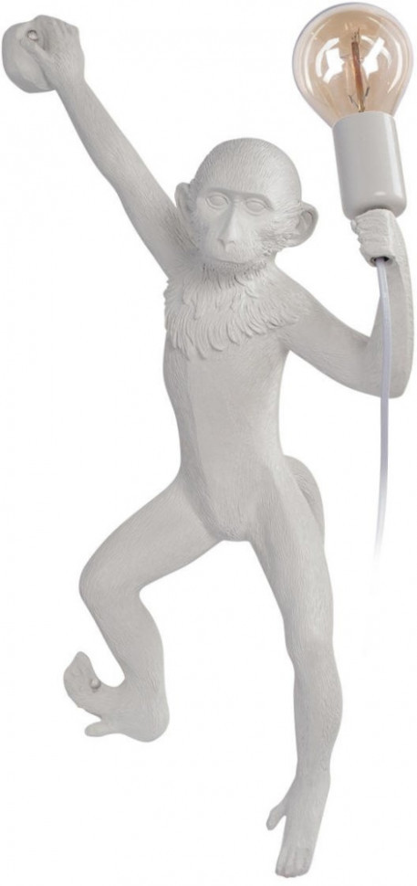 Настенный светильник Monkey 10314W/B Loft It