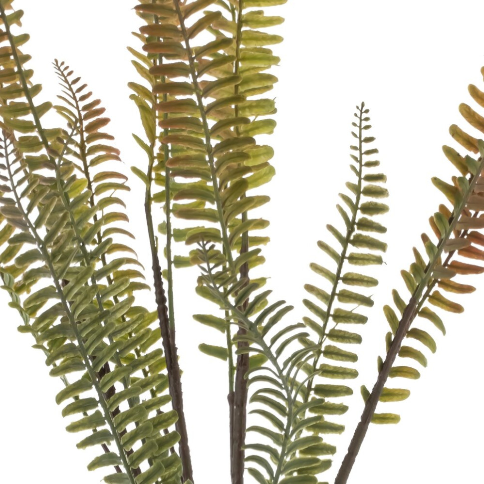 Ветка искусственная "Папоротник", L11 W11 H58 см
