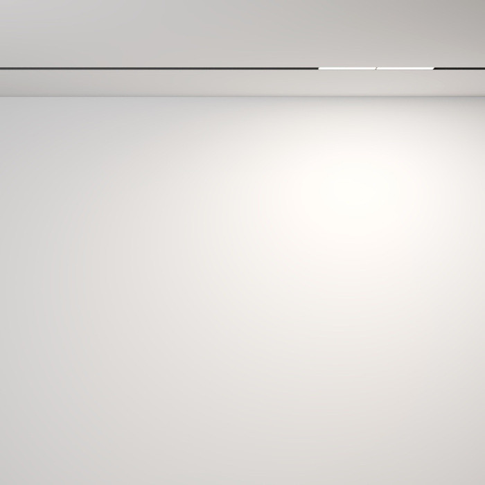 Трековый светильник Parete TR106-2-12W4K-B Maytoni