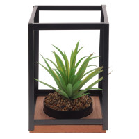 Цветочная композиция "Суккулент", L14 W14 H21 см