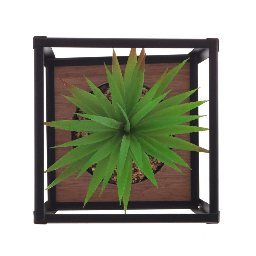 Цветочная композиция "Суккулент", L14 W14 H21 см