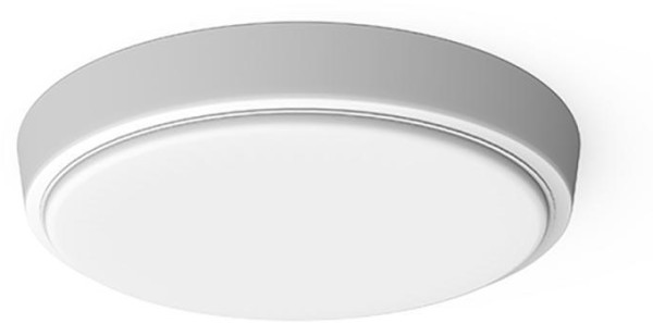 Настенно-потолочный светильник Hall 193411215-S Gauss