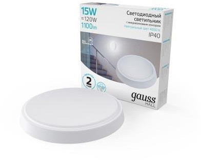 Настенно-потолочный светильник Hall 193411215-S Gauss