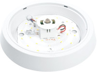 Настенно-потолочный светильник AL3022 41793 Feron