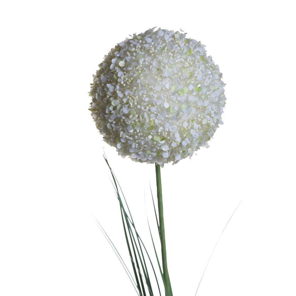 Алиум малый кремовый