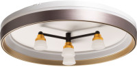 Потолочный светильник Норден 660014701 De City