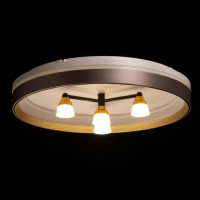 Потолочный светильник Норден 660014701 De City