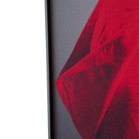 Картина Lumina Deco FP Red Hat 80-120 Картина Lumina Deco FP Red Hat 80-120