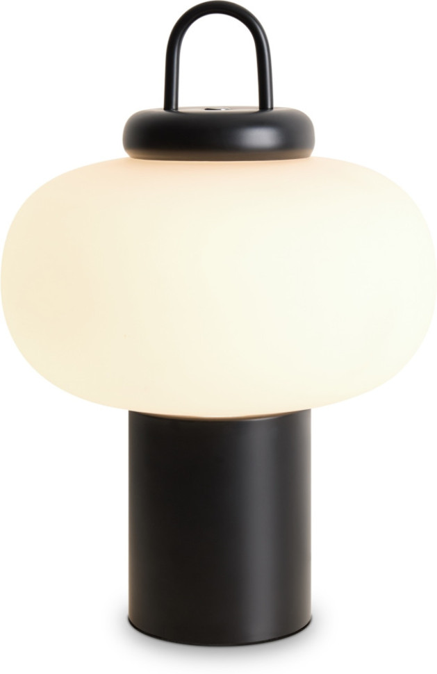 Интерьерная настольная лампа Take FR6175TL-L10B Freya