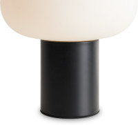 Интерьерная настольная лампа Take FR6175TL-L10B Freya Интерьерная настольная лампа Take FR6175TL-L10B Freya