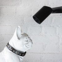 Подвесной светильник Zoom 983 VL10122P06 Vele Luce