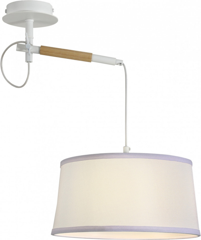 Настенно-потолочный светильник Eureka 3005-1P F-Promo