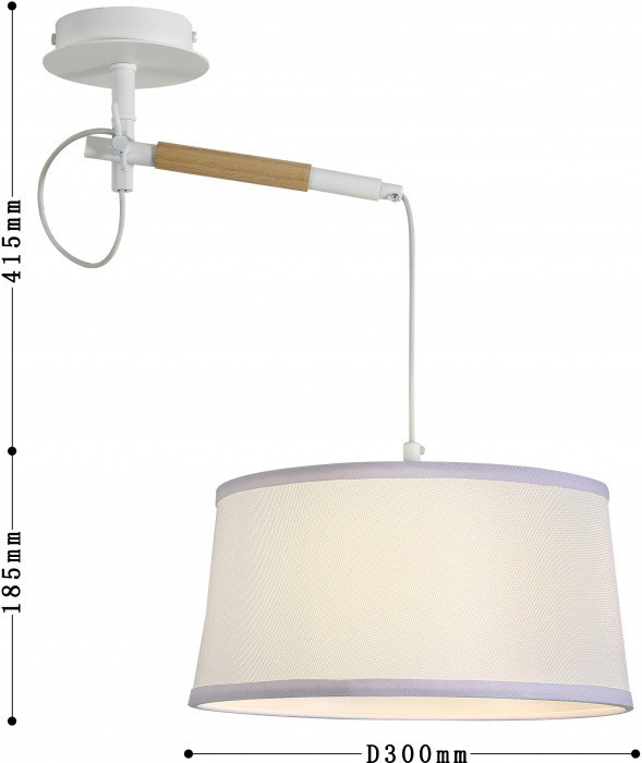 Настенно-потолочный светильник Eureka 3005-1P F-Promo