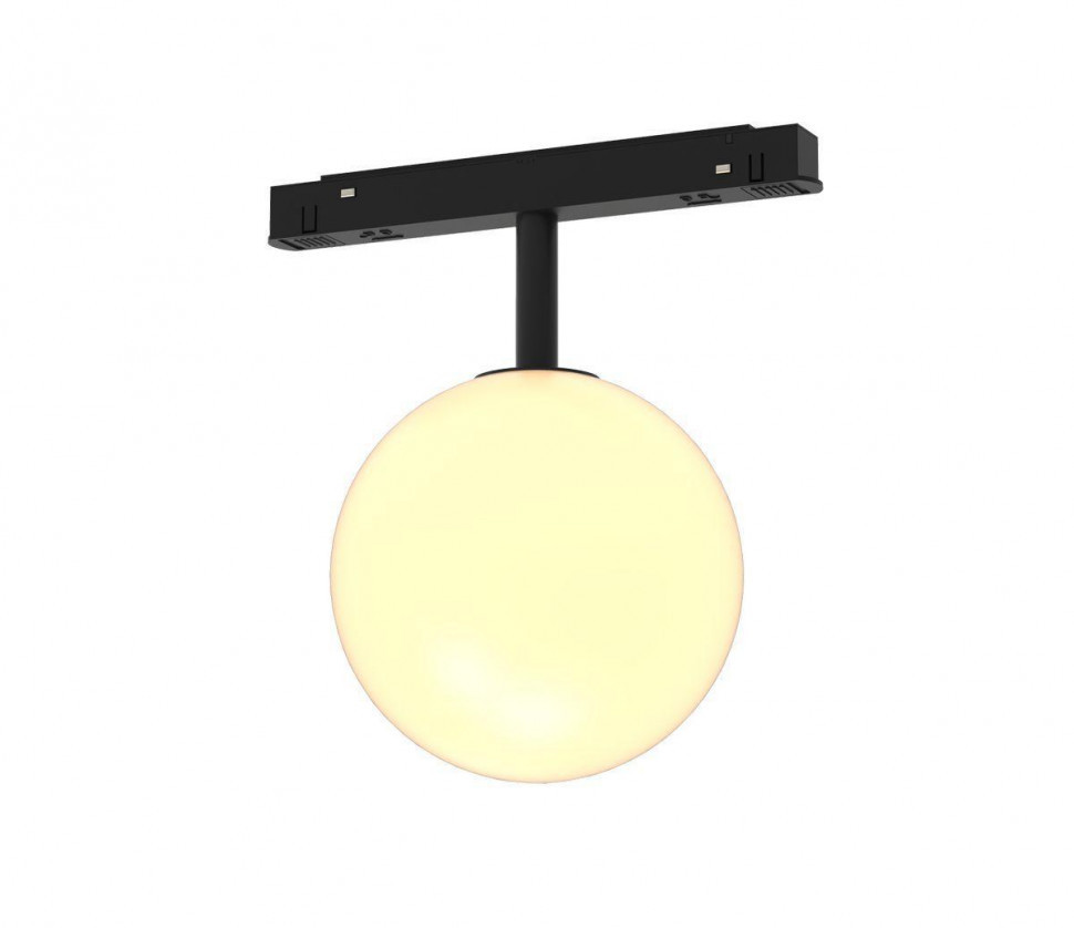 Трековый светодиодный светильник Maytoni Technical Luna TR038-2-5W3K