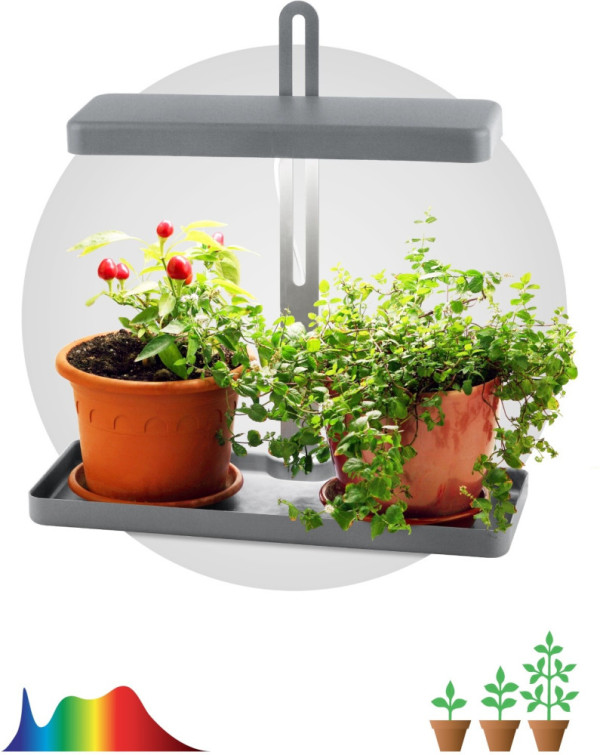 Светильник для растений  FITO-20W-QLED-G ЭРА