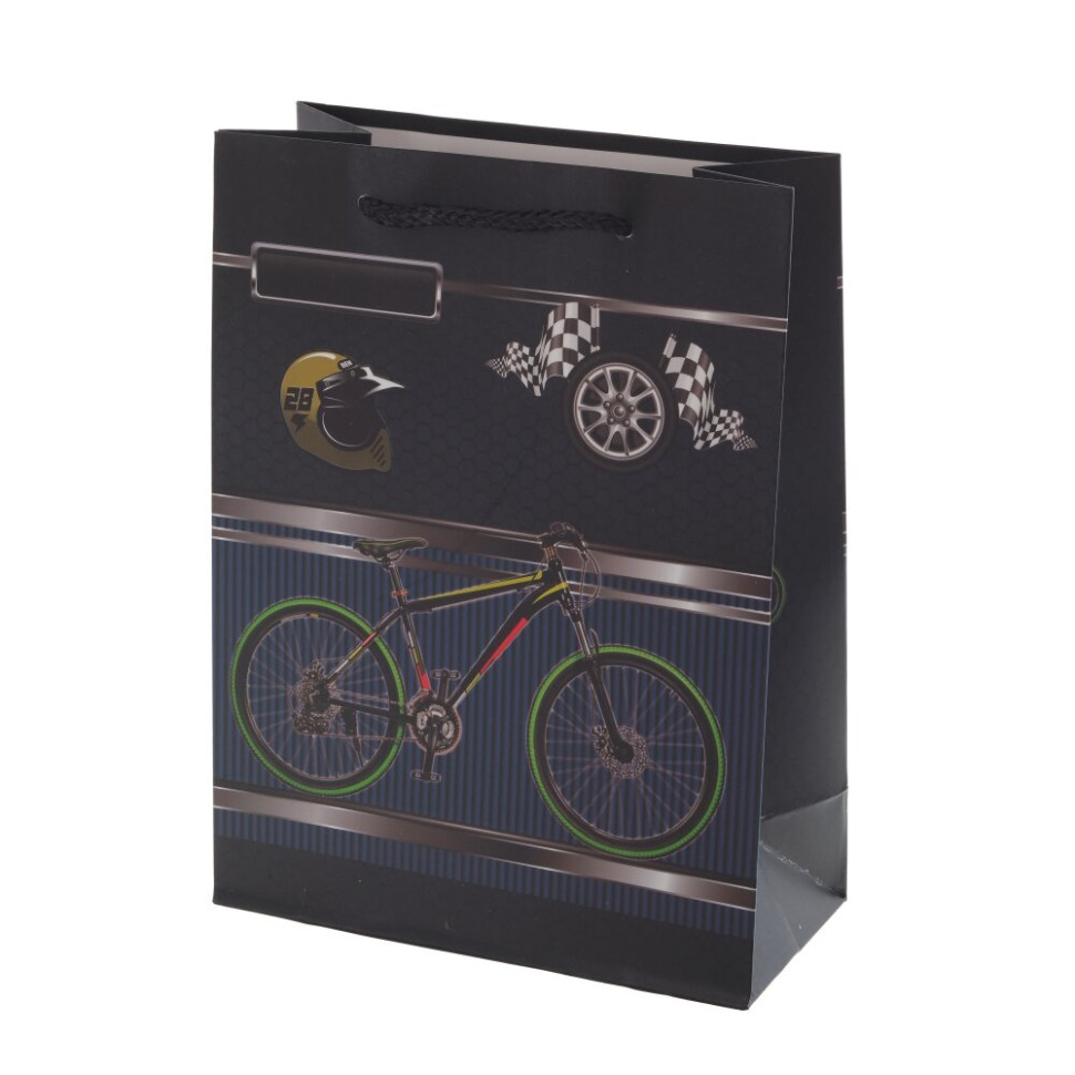 Пакет подарочный S (бумага 210г/м2, блок микс 12шт), L18 W8,5 H24 см, 4в.