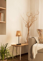 Интерьерная настольная лампа TABLEY 43977 Eglo